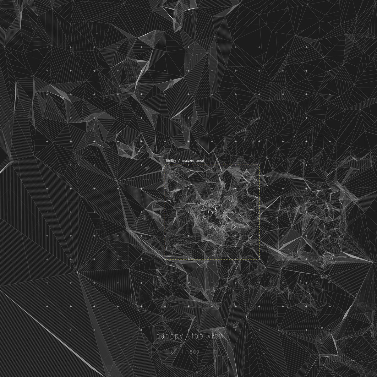 Architecture of the Forest 6
