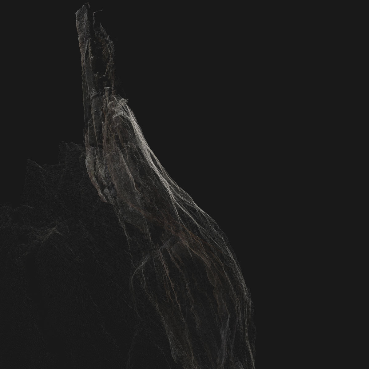 Arboreal Archive 19