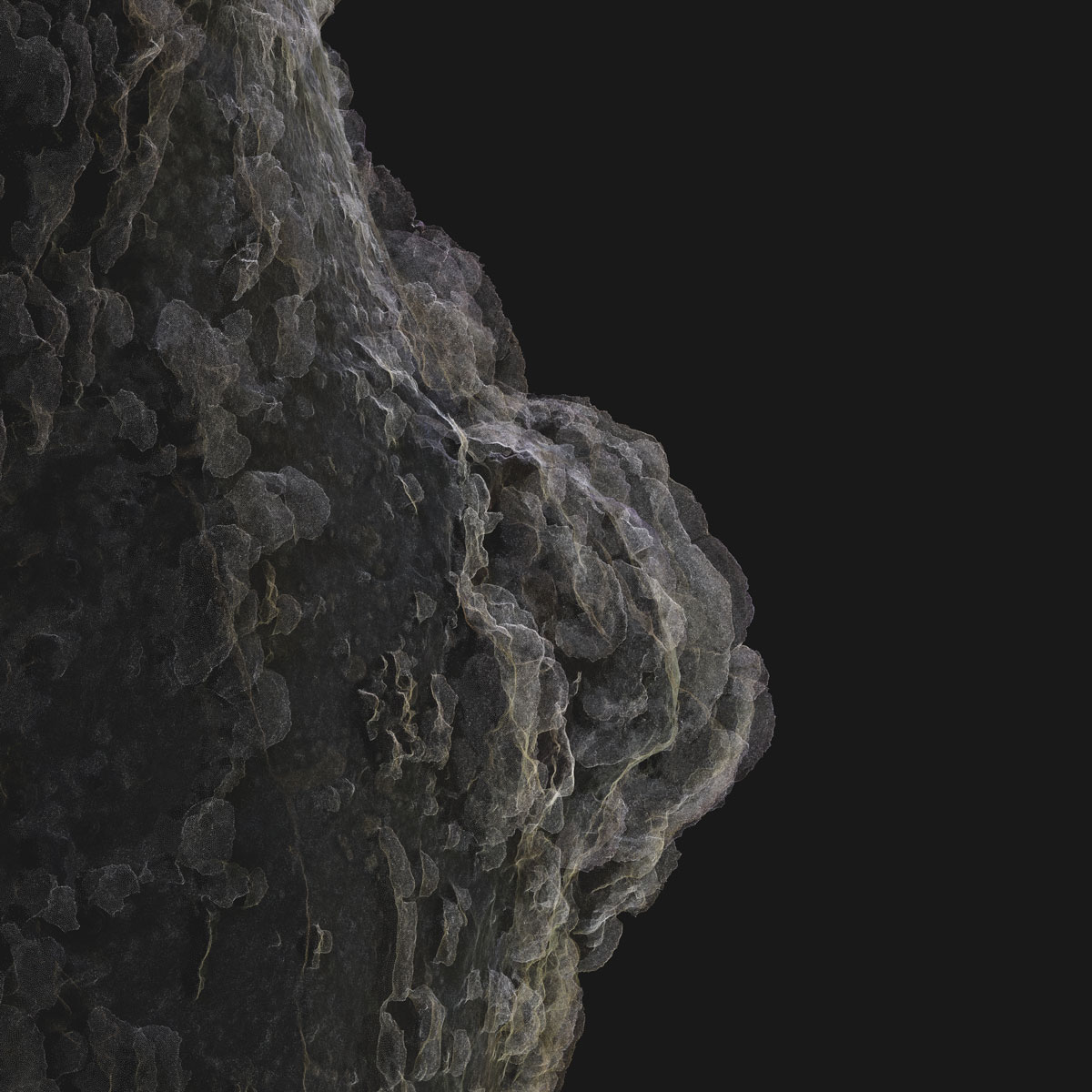 Arboreal Archive 27
