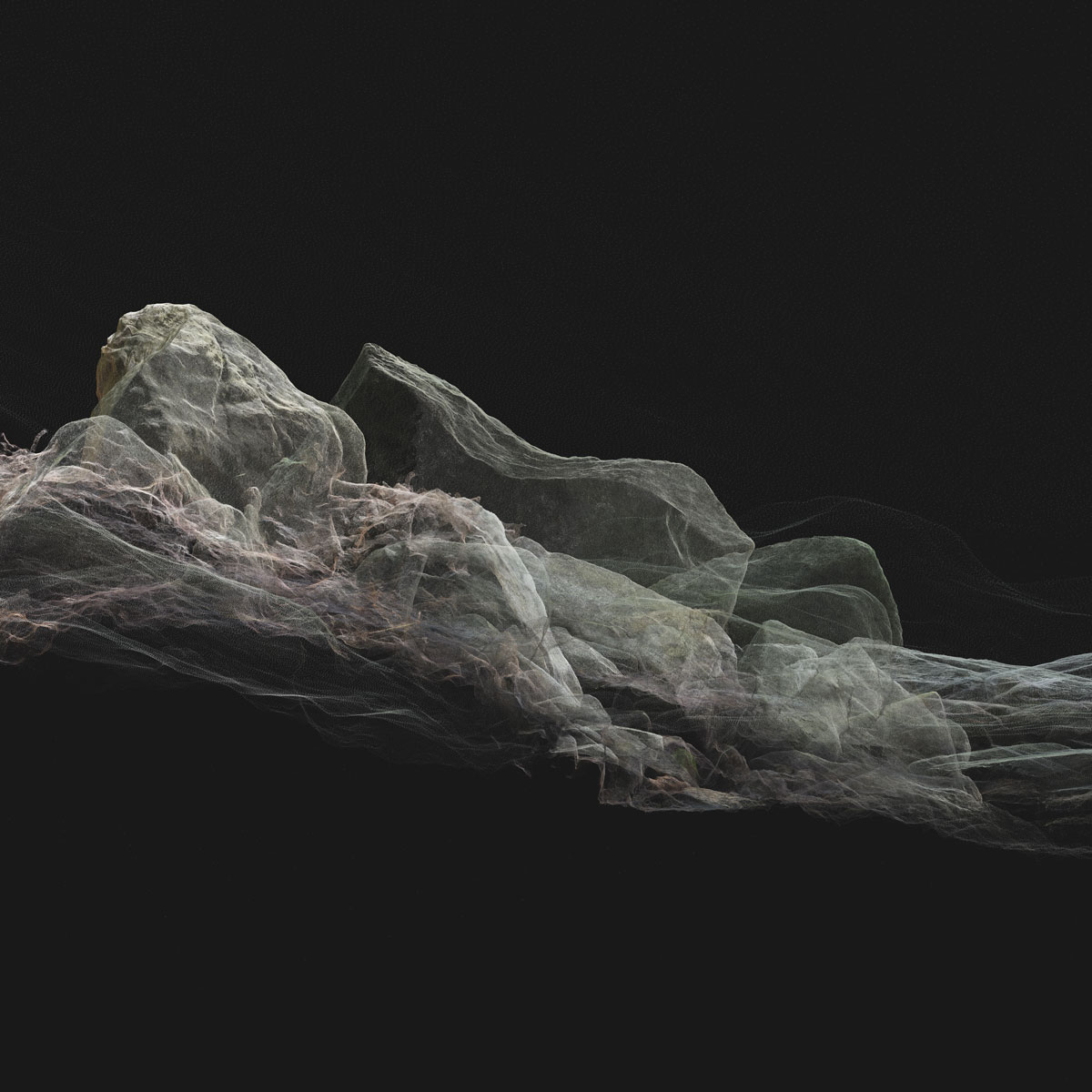 Arboreal Archive 45