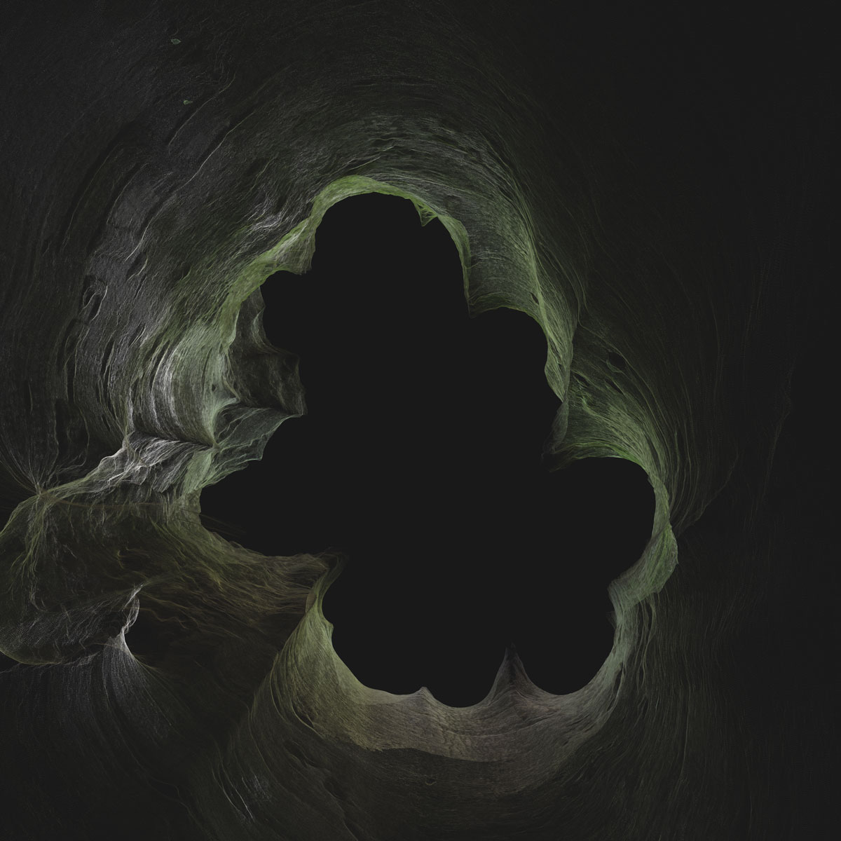 Arboreal Archive 52
