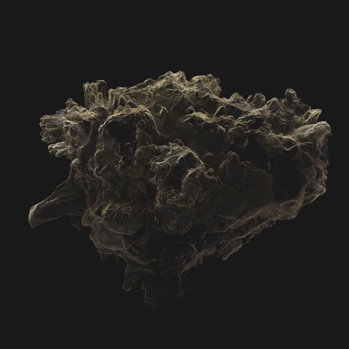 Arboreal Archive 66