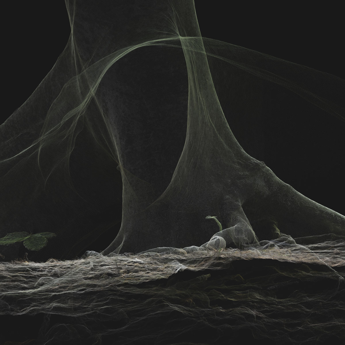 Arboreal Archive 7