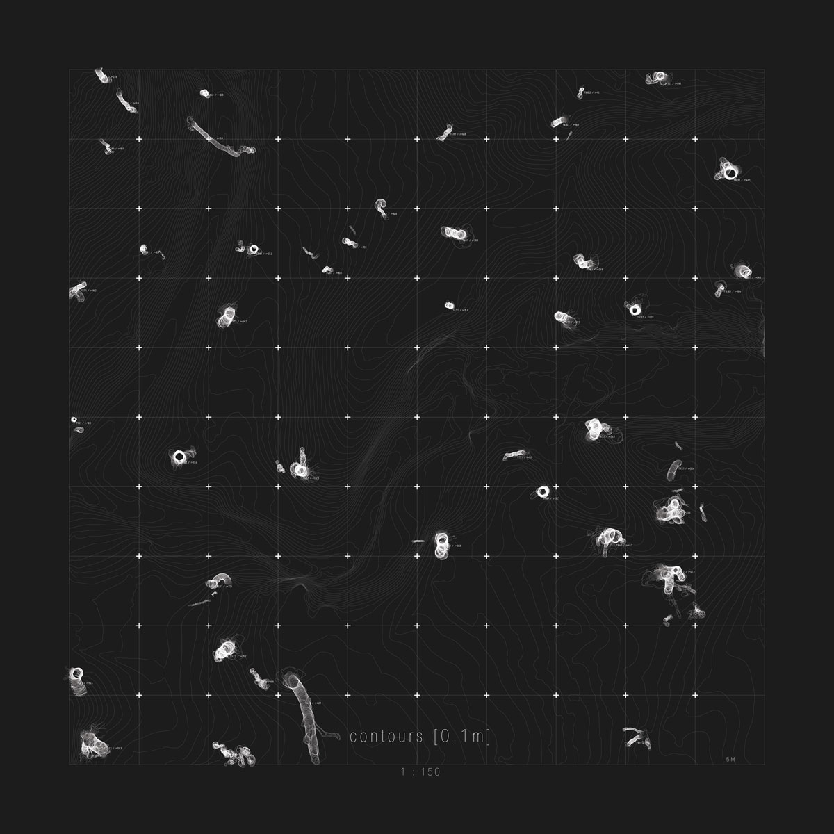 Taxonomy of the Forest 5