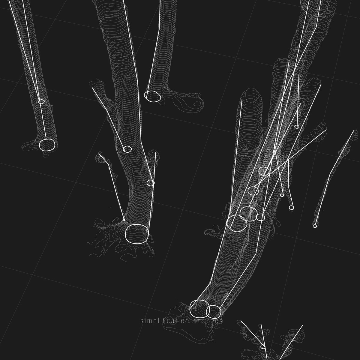 Taxonomy of the Forest 7